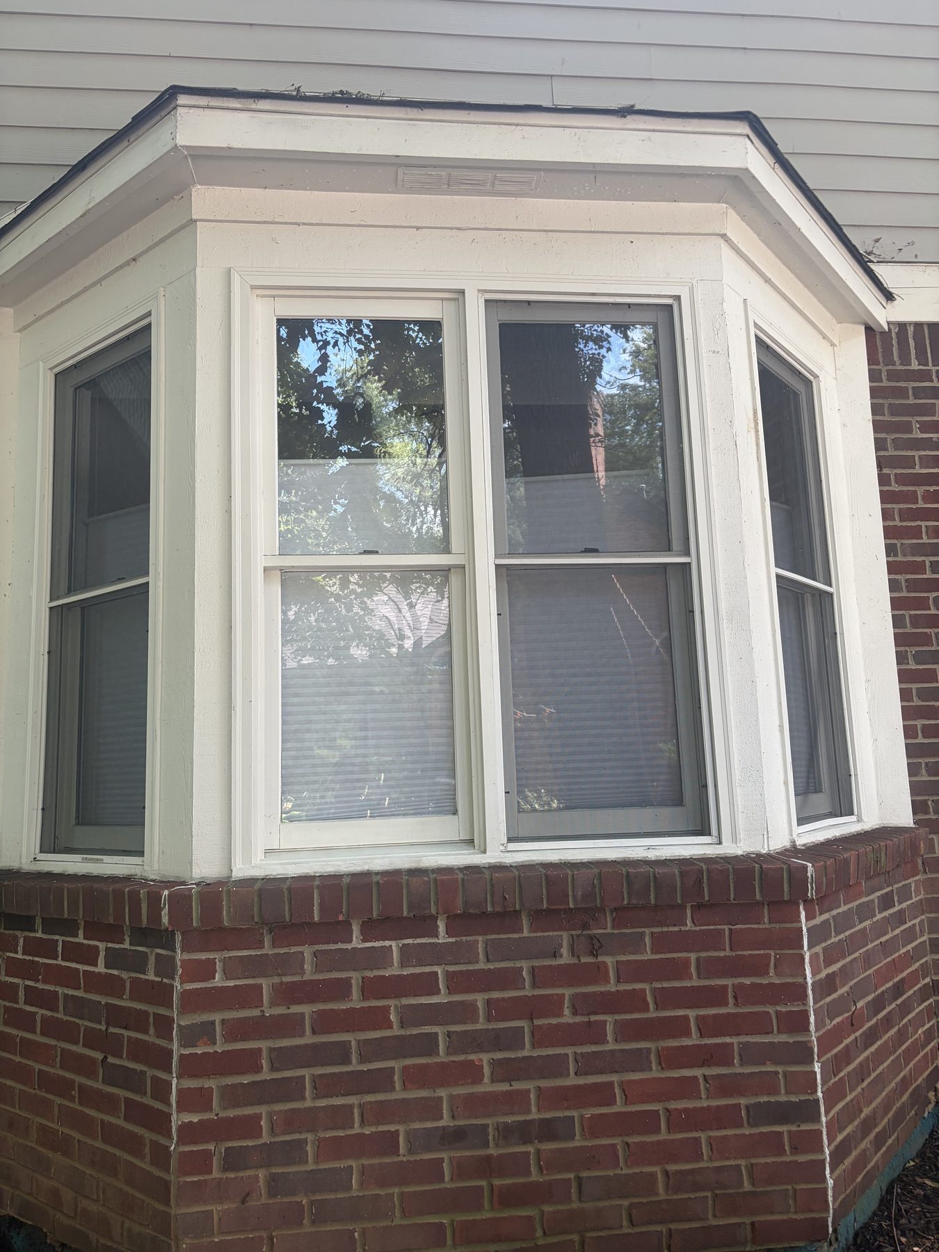 After professional window washing